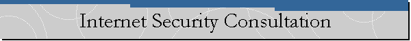 Internet Security Consultation